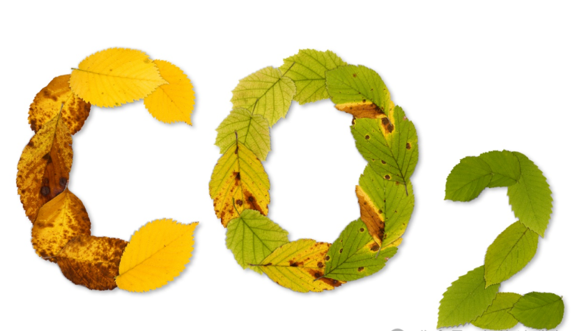 20250102/4aa4cc7e91c4e6346bcca917130c2f75.png